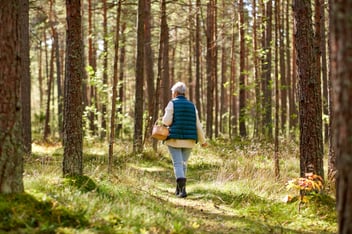 Woman wearing a sweater, vest, jeans, and boots walking through a sunny forest carrying a basket 