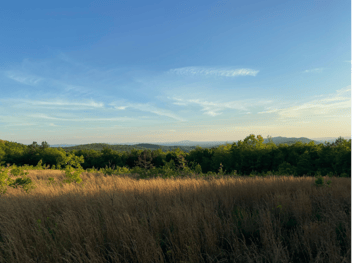 View from the top of Bhakti Mountain at Just Love Forest